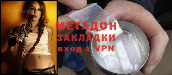 прущие грибы Волоколамск
