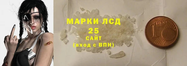 прущие грибы Волоколамск