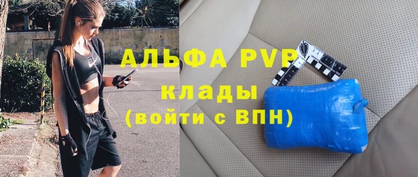 прущие грибы Волоколамск